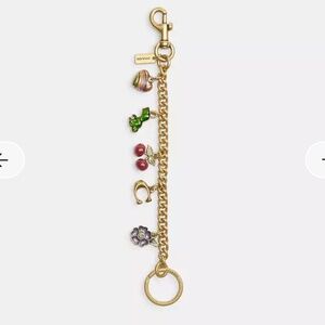 Authentic Coach Motif Chain Bag Charm